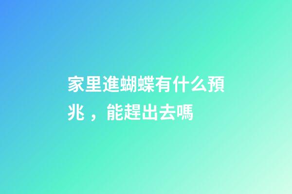 家里進蝴蝶有什么預兆，能趕出去嗎